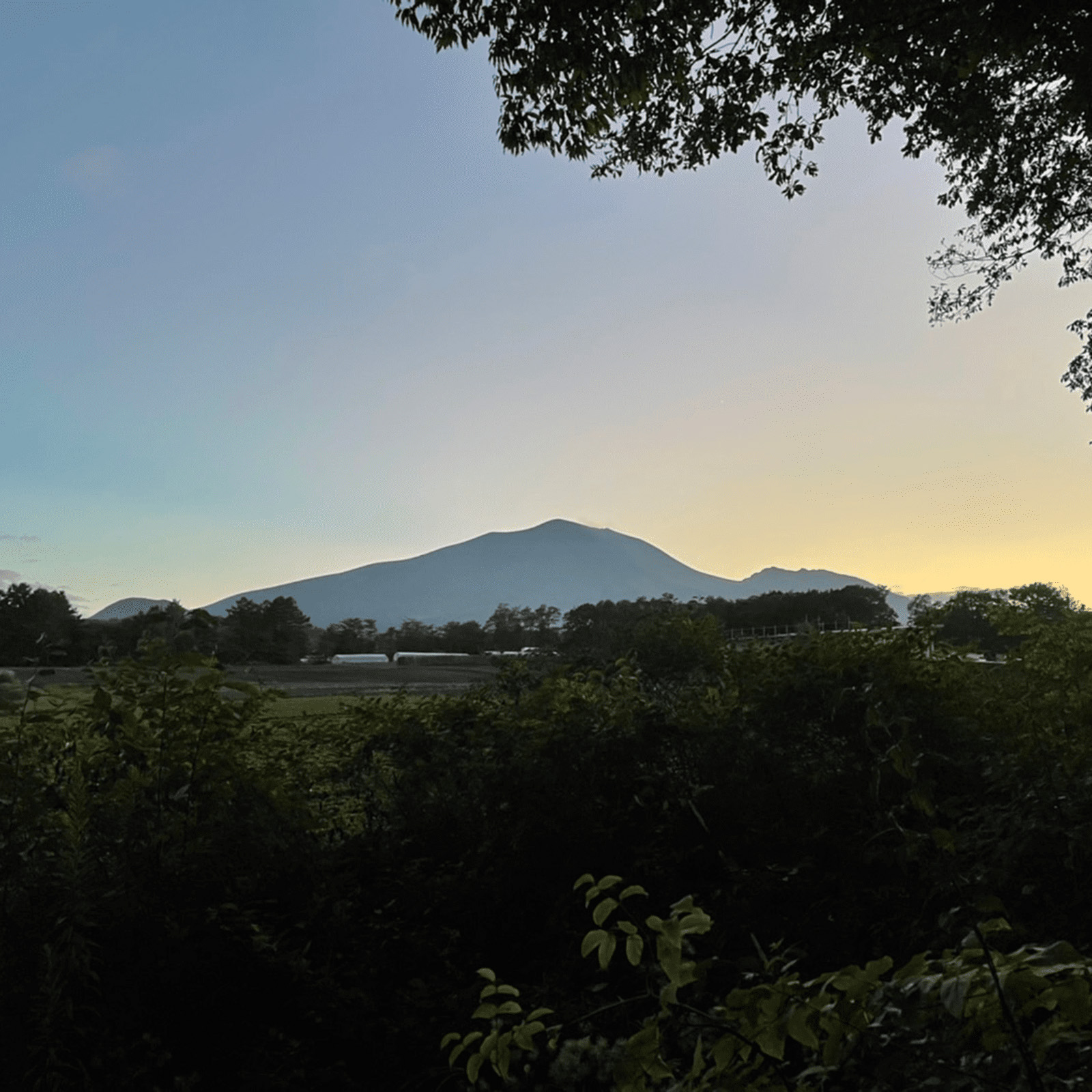 フリーサイトベース北軽井沢 / 群馬県